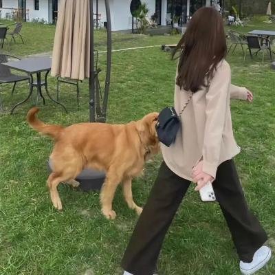 狗眼看人心